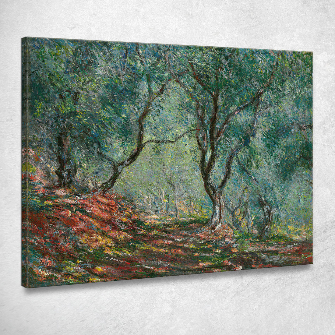 Boschi Di Ulivi Nel Giardino Moreno Claude Monet mnt198 quadro stampato su tela