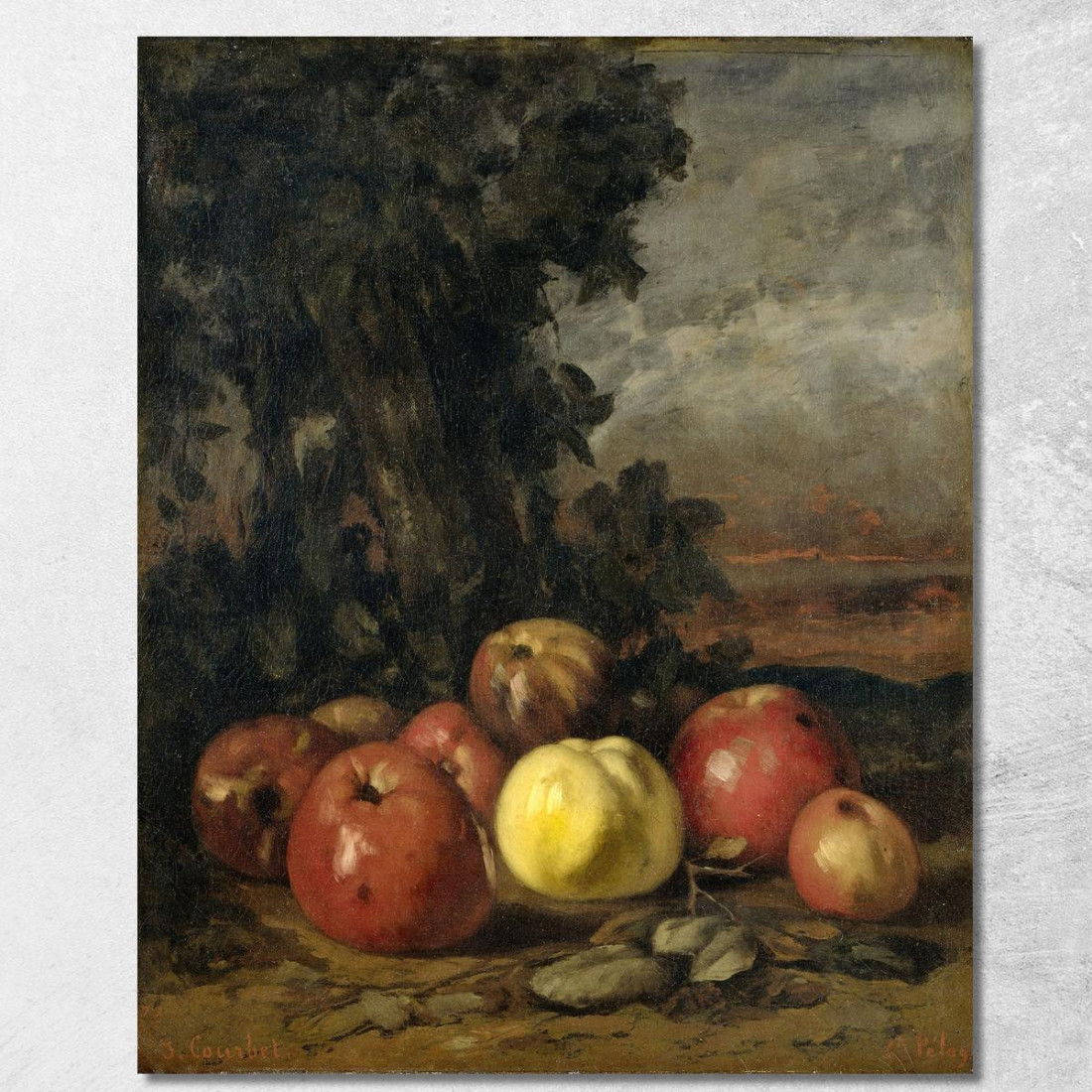 Natura Morta Con Mele Gustave Courbet cg159 quadro stampato su tela