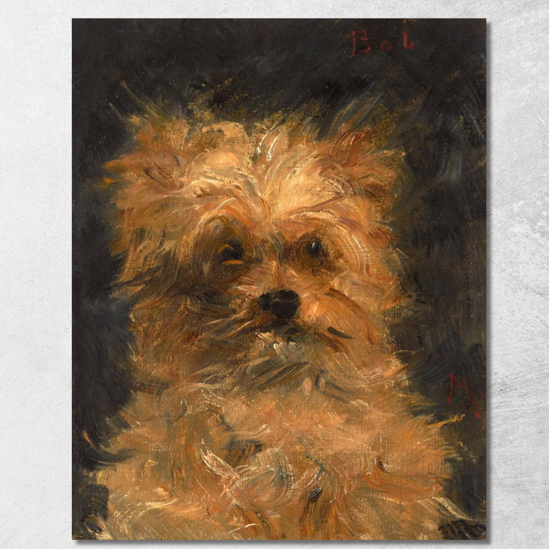 Testa Di Cane Bob Édouard Manet emt142 quadro stampato su tela