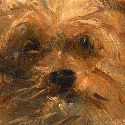 Testa Di Cane Bob Édouard Manet emt142 quadro stampato su tela