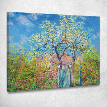 Pero In Fiore Claude Monet mnt291 quadro stampato su tela