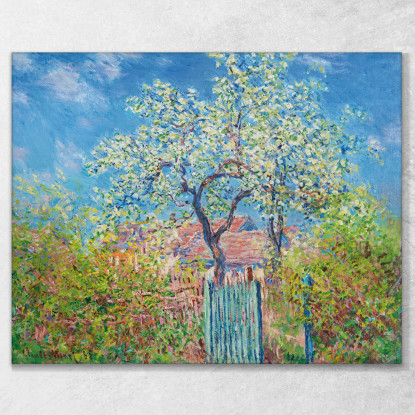 Pero In Fiore Claude Monet mnt291 quadro stampato su tela