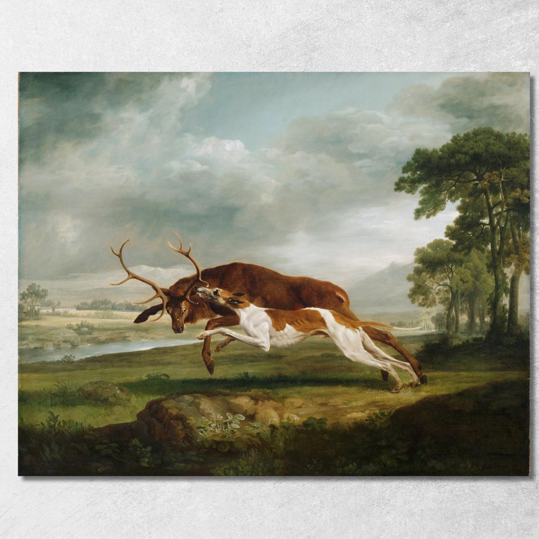 Hound Che Insegue Un Cervo George Stubbs gst23 quadro stampato su tela