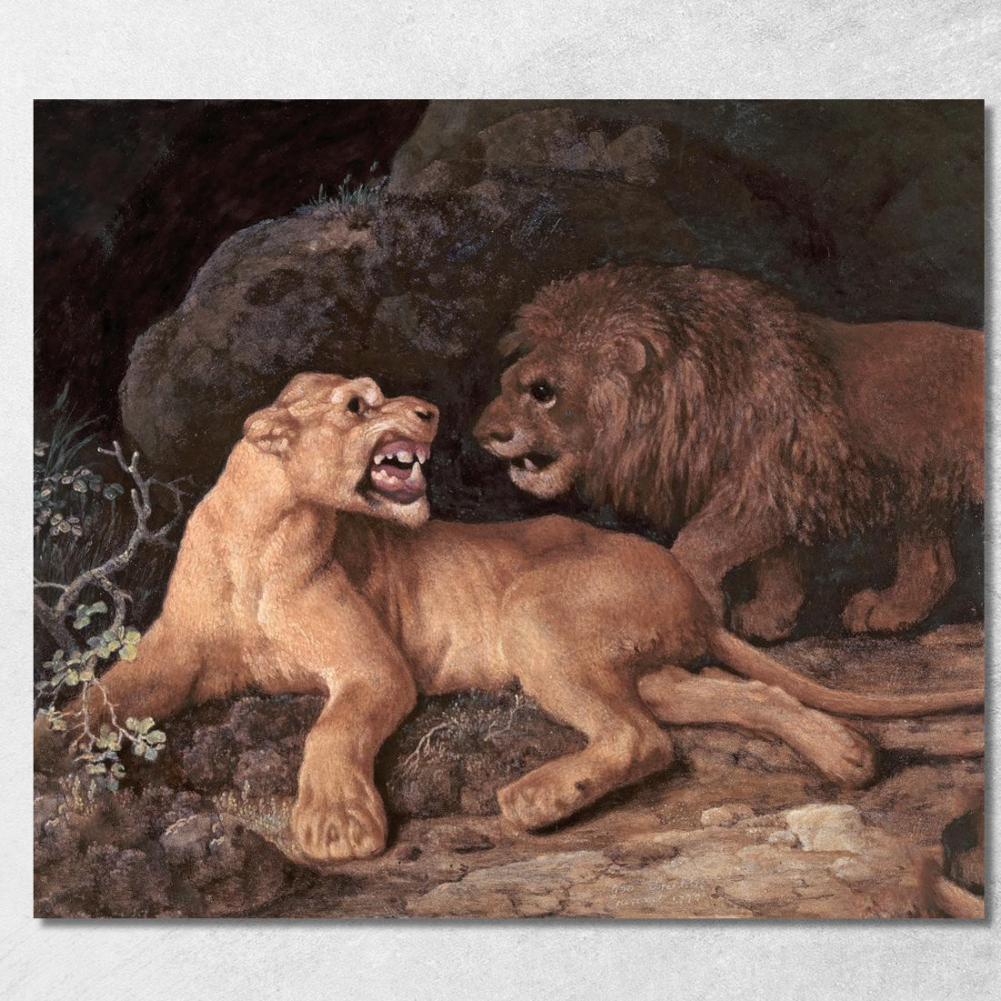 Leone E Leonessa George Stubbs gst26 quadro stampato su tela