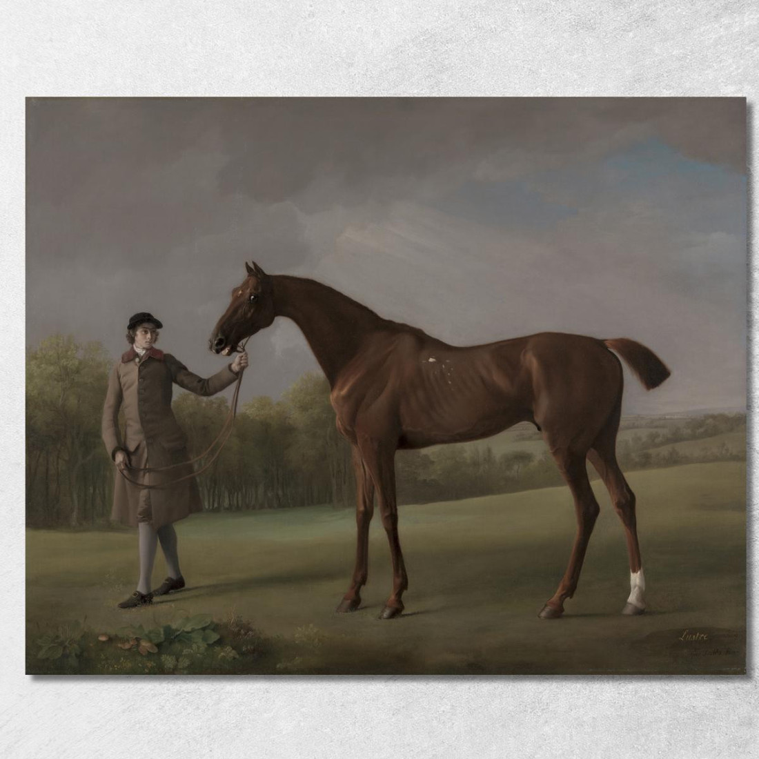 Lustro Tenuto Da Uno Sposo George Stubbs gst28 quadro stampato su tela