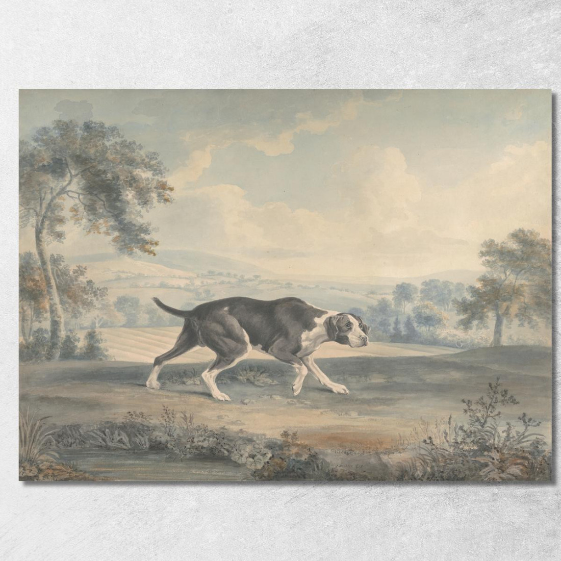 Il Puntatore Spagnolo George Stubbs gst43 quadro stampato su tela