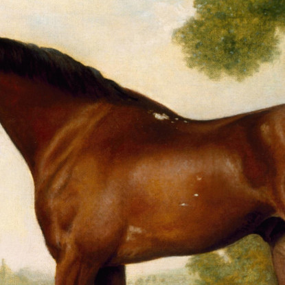 Legare Un Cacciatore George Stubbs gst45 quadro stampato su tela