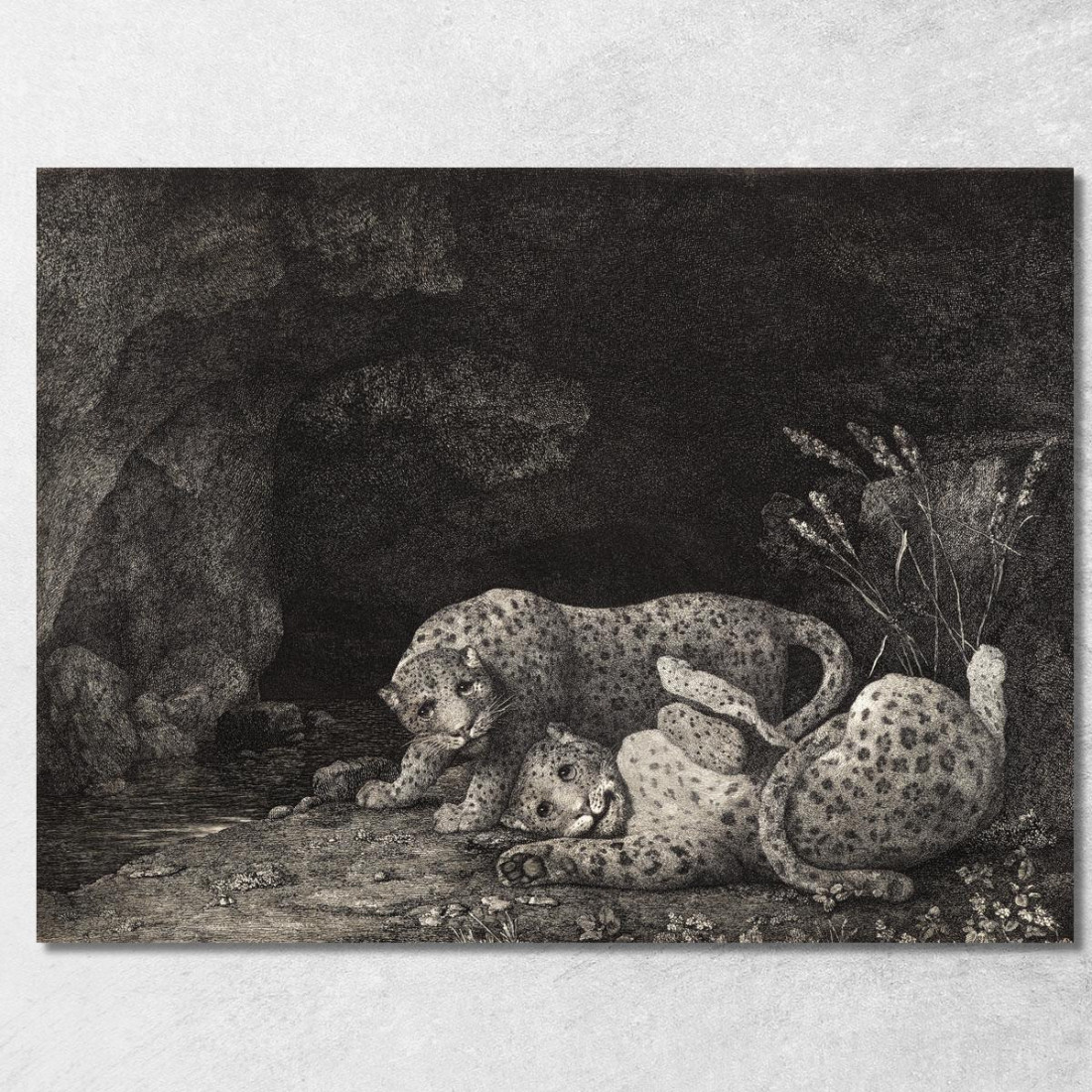 Tigri In Gioco 1780 George Stubbs gst51 quadro stampato su tela