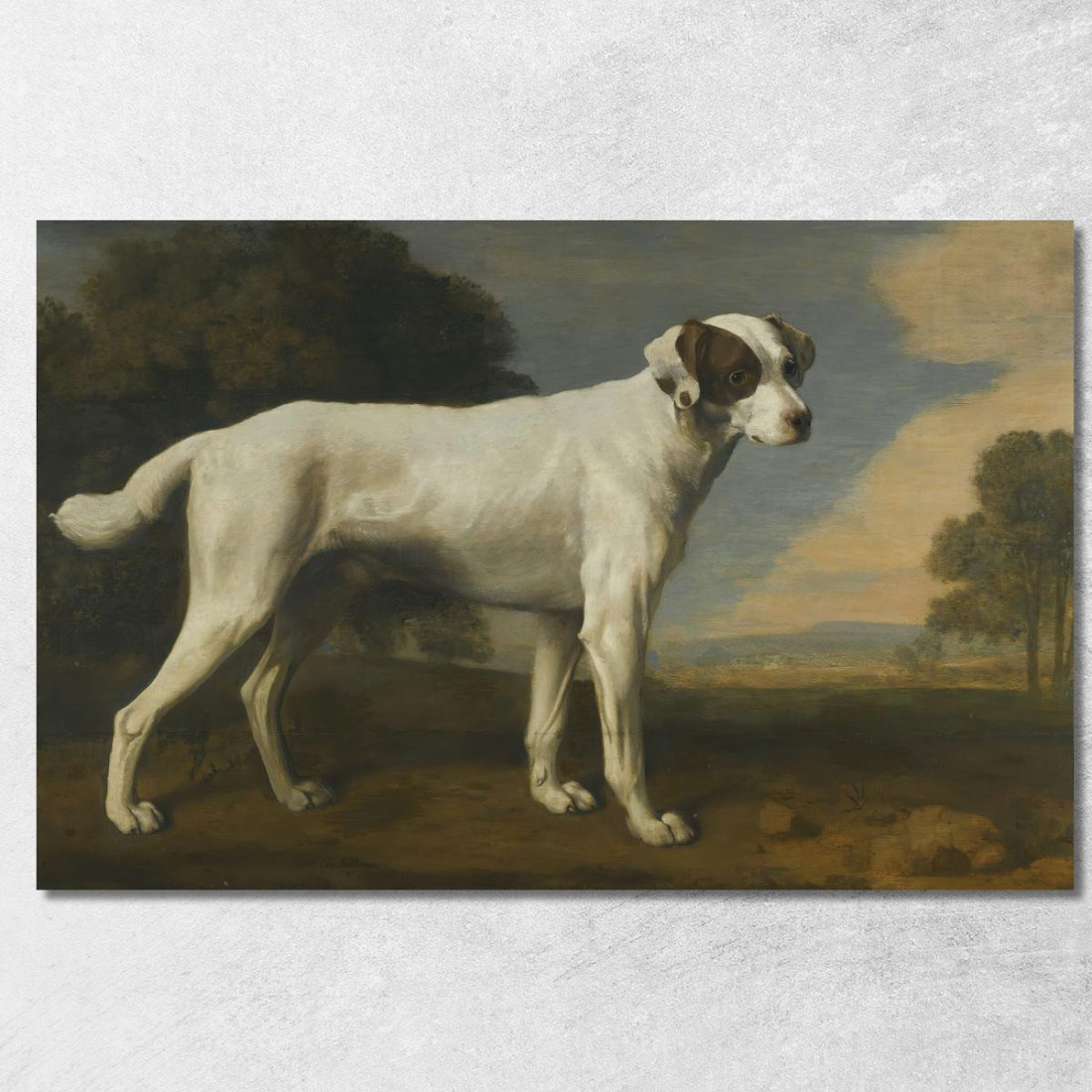 Il Cane Bianco Del Visconte Gormanston George Stubbs gst52 quadro stampato su tela