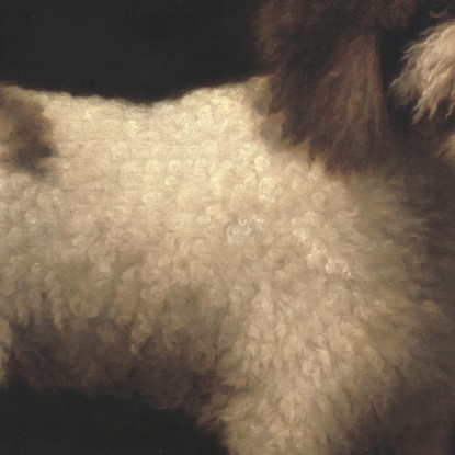 Spaniel D'Acqua George Stubbs gst54 quadro stampato su tela