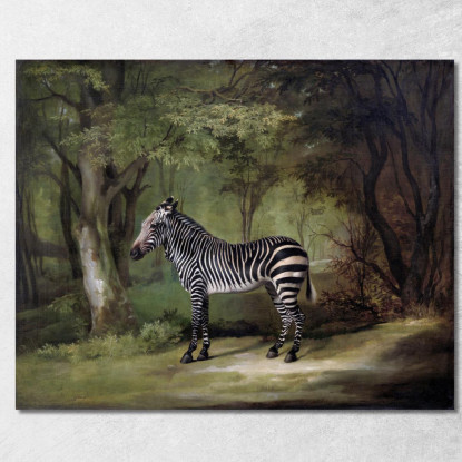 Zebra 1763 George Stubbs gst57 quadro stampato su tela