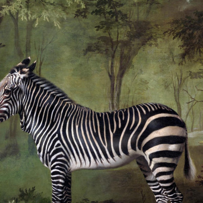 Zebra 1763 George Stubbs gst57 quadro stampato su tela