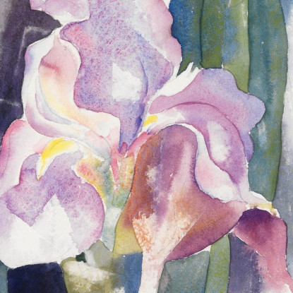 Iride Viola Charles Demuth cdm40 quadro stampato su tela