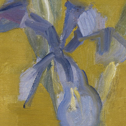 Iris Piet Mondrian pmn46 quadro stampato su tela