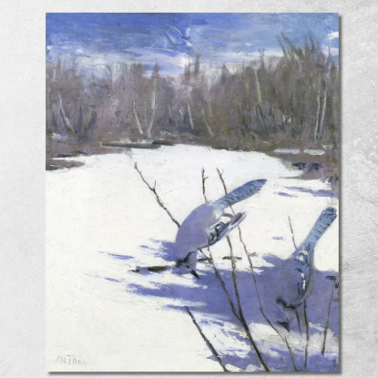 Blue Jays In Winter Studia Per Un Libro Che Nasconde La Colorazione Nel Regno Animale Abbott Handerson Thayer aht4 quadro stamp