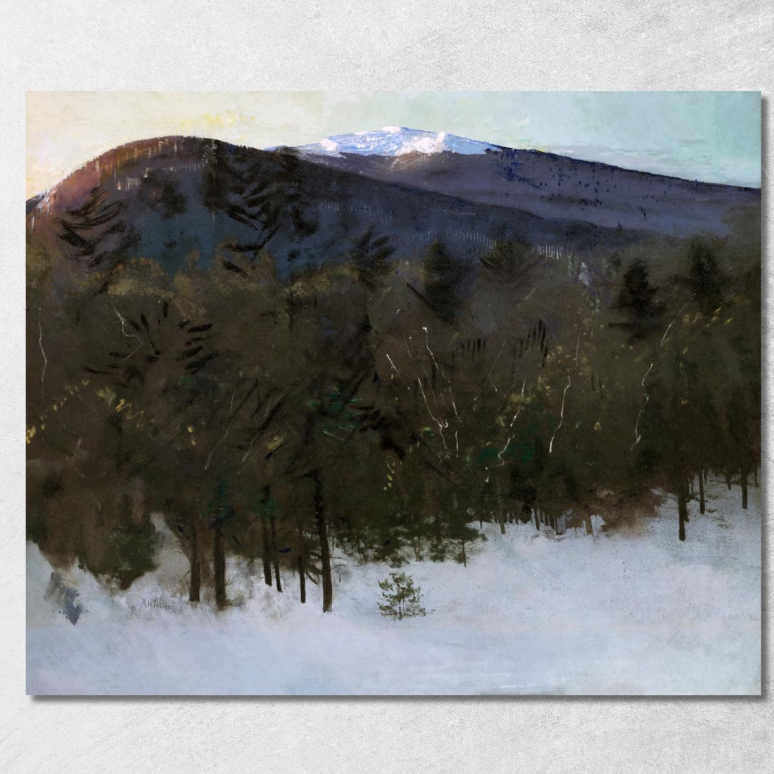 Monte Monadnock Abbott Handerson Thayer aht13 quadro stampato su tela