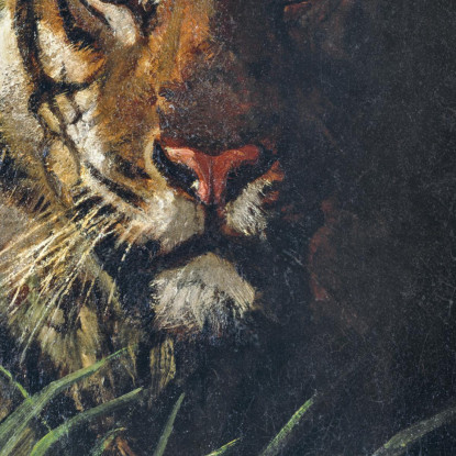 Testa Di Tigre Abbott Handerson Thayer aht24 quadro stampato su tela