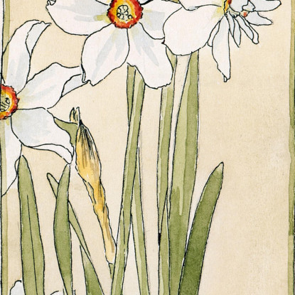 Narciso Del Poeta Hannah Borger Overbeck hbo13 quadro stampato su tela