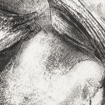L'Ala Impotente Non Sollevò L'Animale In Quello Spazio Nero Odilon Redon ord75 quadro stampato su tela