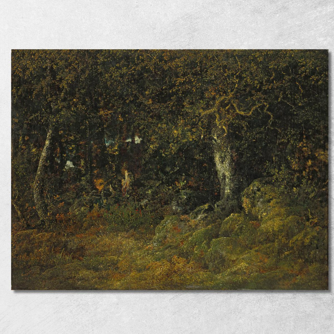La Quercia Rocciosa Théodore Rousseau trs24 quadro stampato su tela
