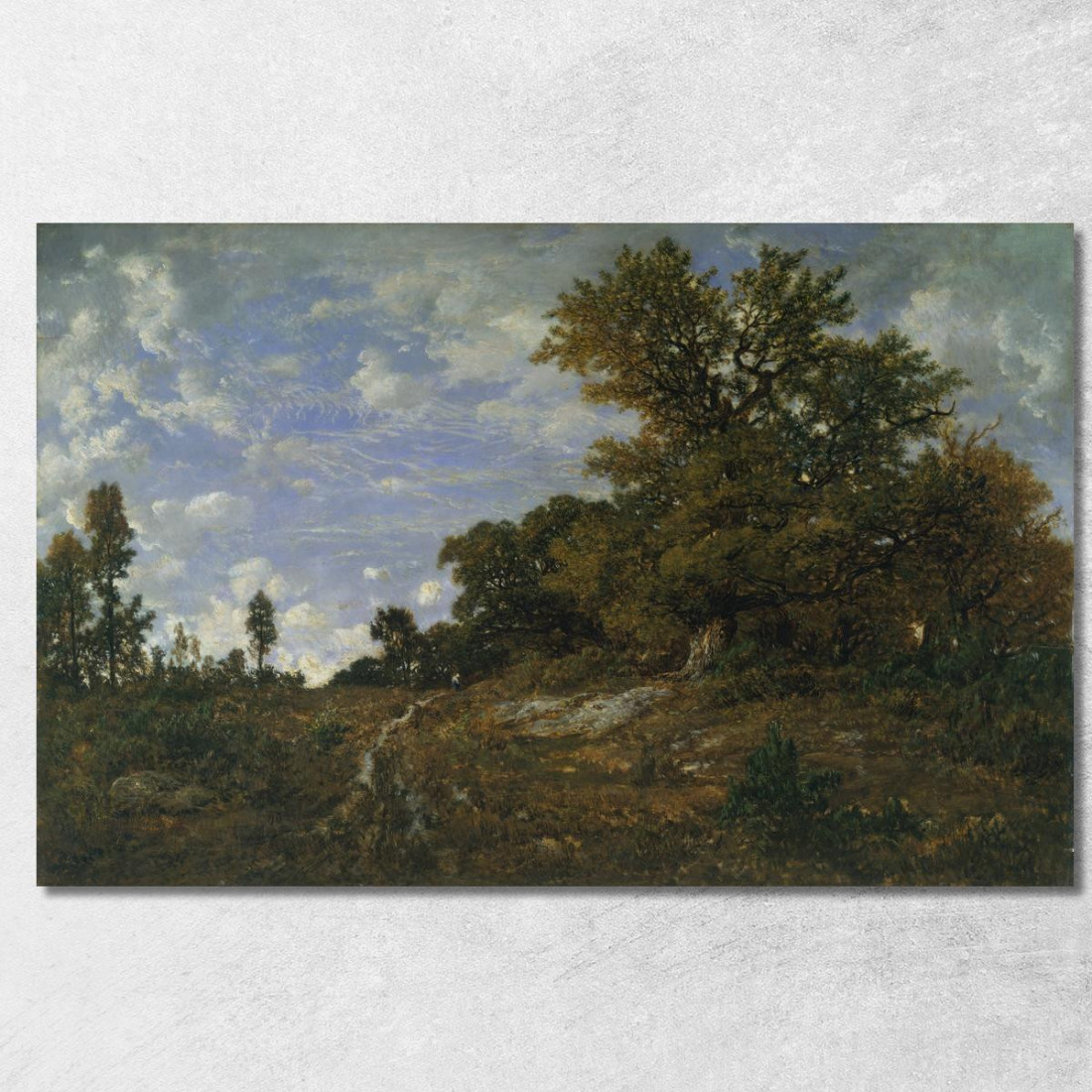 Il Limite Del Bosco Nella Foresta Di Fontainebleau Di Monts-Girard Théodore Rousseau trs36 quadro stampato su tela