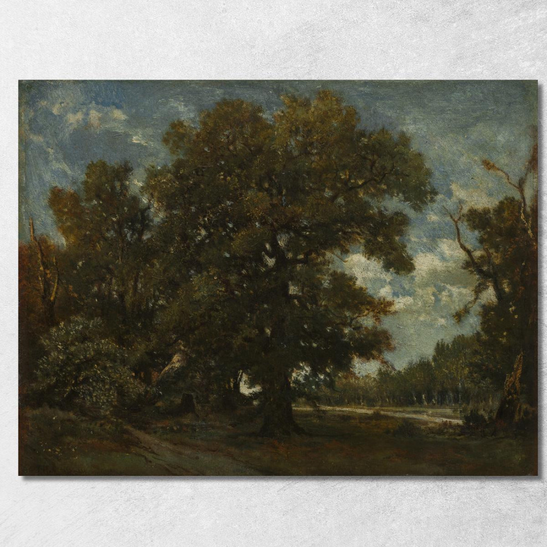 La Quercia Théodore Rousseau trs40 quadro stampato su tela