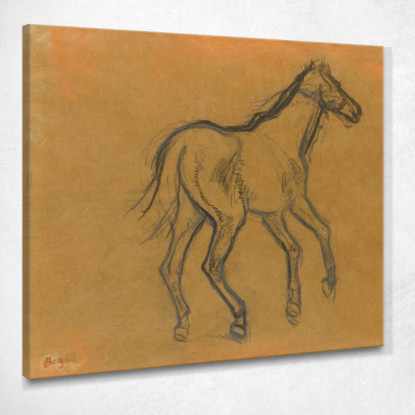 Studio Del Cavallo Edgar Degas edg299 quadro stampato su tela