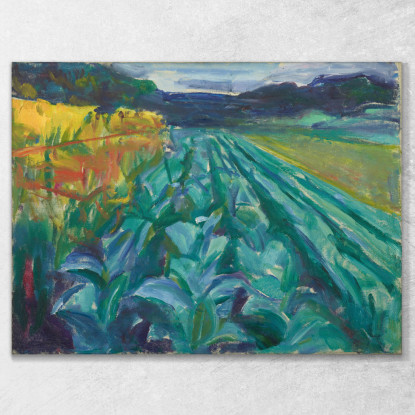 Campo Di Cavoli Edvard Munch em77 quadro stampato su tela