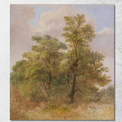 Studio Degli Alberi Carl Spitzweg csp4 quadro stampato su tela