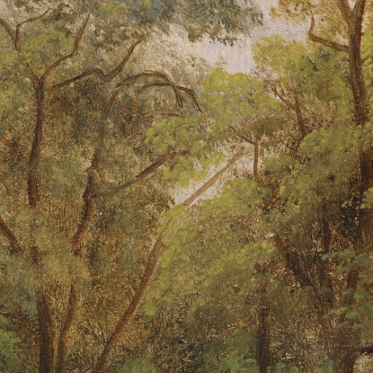 Studio Degli Alberi Carl Spitzweg csp4 quadro stampato su tela