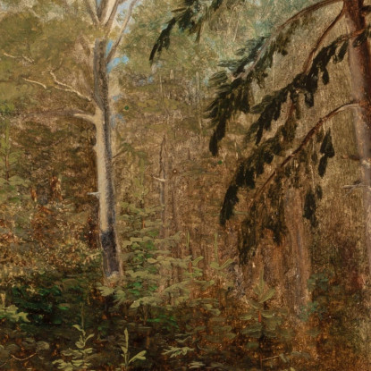Studio Di Un Paesaggio Boschivo Carl Spitzweg csp53 quadro stampato su tela