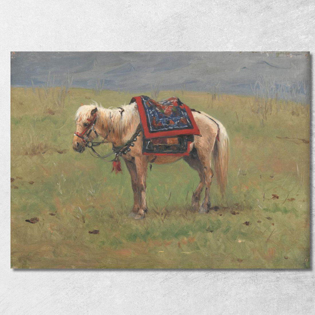 Pony Dell'Himalaya Vasily Vereshchagin vvr24 quadro stampato su tela