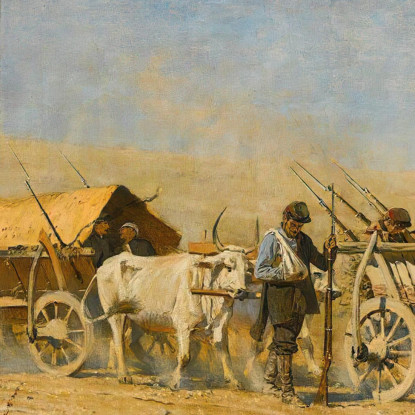 Trasporto Dei Feriti Vasily Vereshchagin vvr70 quadro stampato su tela