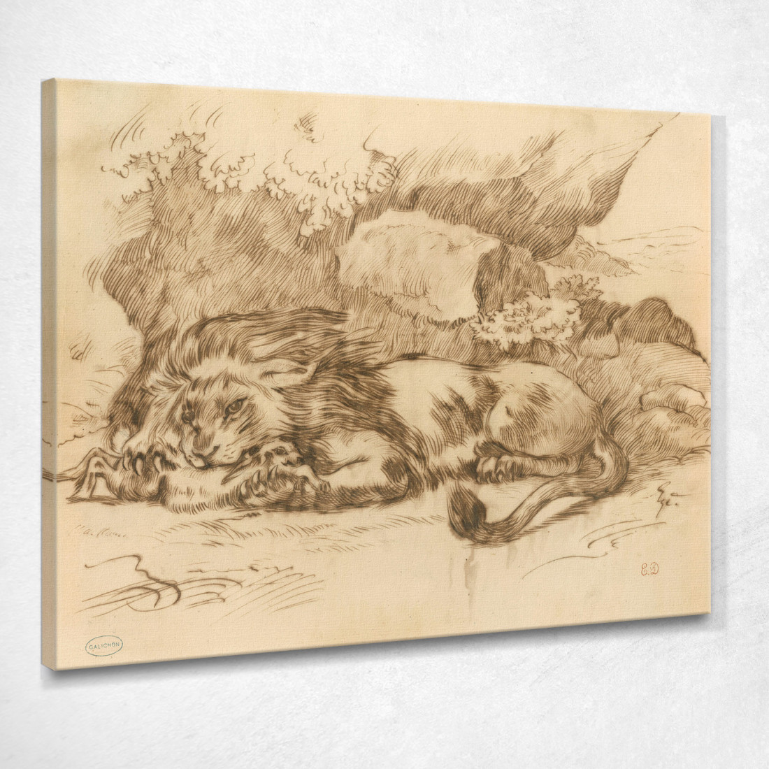 Leone Che Divora Un Coniglio Eugène Delacroix edx71 quadro stampato su tela