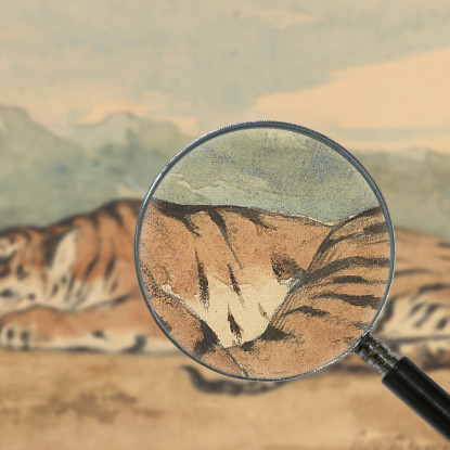 Tigre Reale Eugène Delacroix edx100 quadro stampato su tela