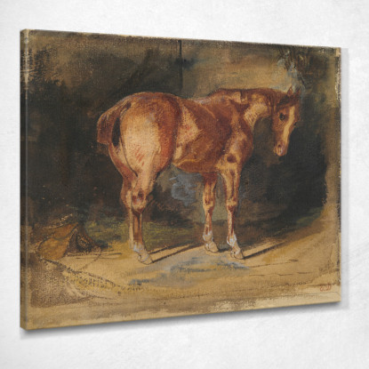 Studio Di Un Cavallo 2 Eugène Delacroix edx119 quadro stampato su tela