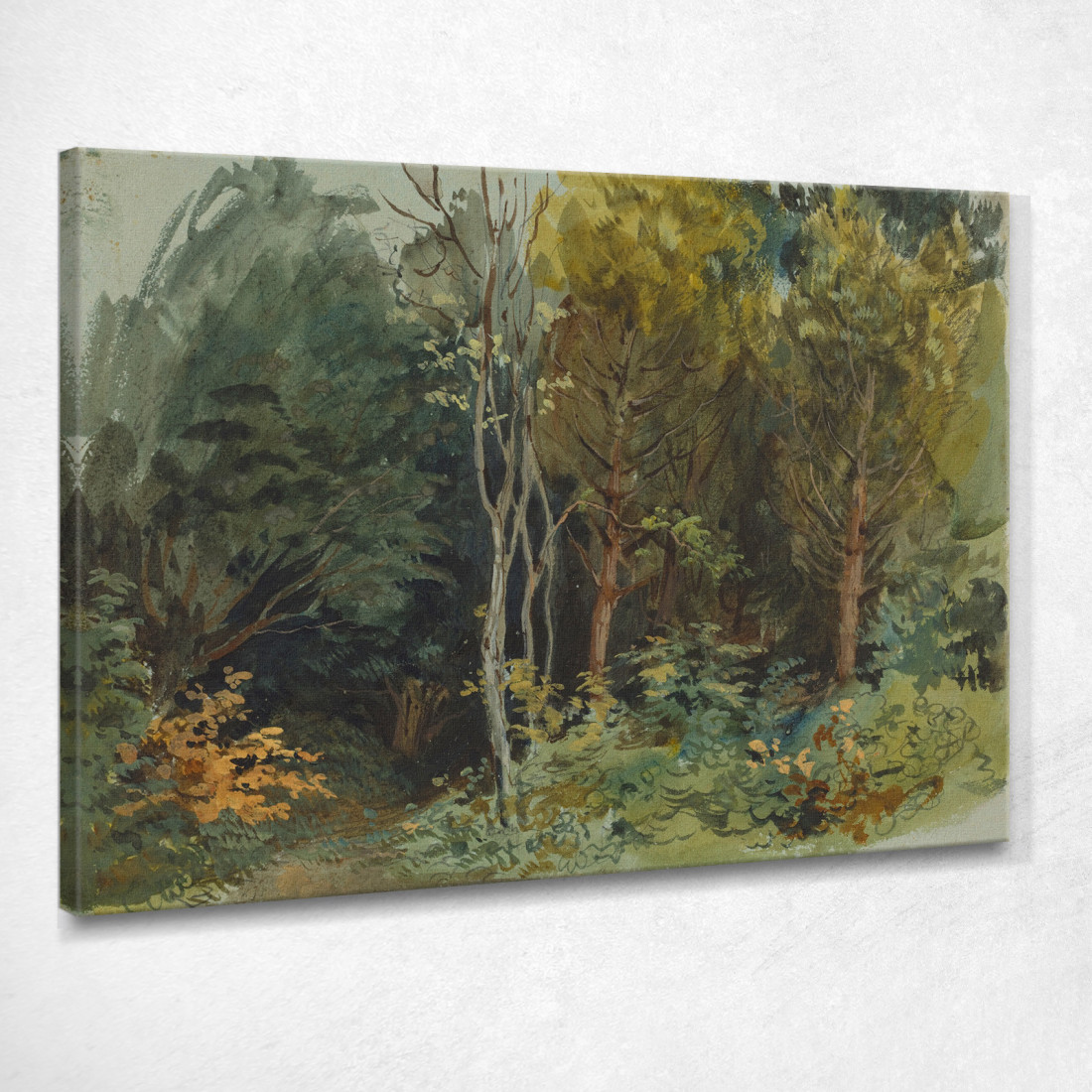 Il Bordo Di Un Bosco A Nohant Eugène Delacroix edx129 quadro stampato su tela