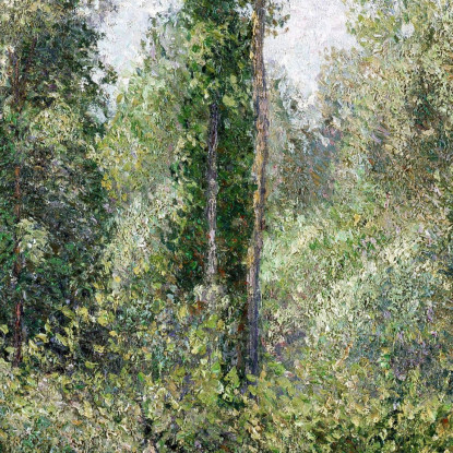 Pioppi Éragny 1895 Camille Pissarro cps57 quadro stampato su tela