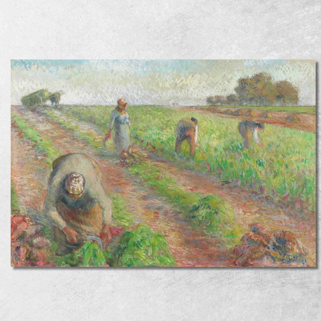La Raccolta Delle Barbabietole 1881 Camille Pissarro cps70 quadro stampato su tela