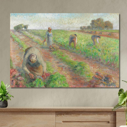 La Raccolta Delle Barbabietole 1881 Camille Pissarro cps70 quadro stampato su tela
