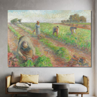 La Raccolta Delle Barbabietole 1881 Camille Pissarro cps70 quadro stampato su tela