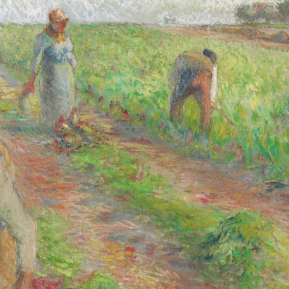 La Raccolta Delle Barbabietole 1881 Camille Pissarro cps70 quadro stampato su tela