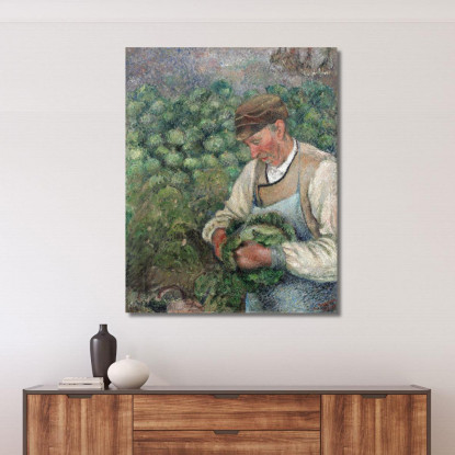 Il Giardiniere - Vecchio Contadino Con Cavolo 1883-1895 Camille Pissarro cps79 quadro stampato su tela