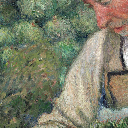 Il Giardiniere - Vecchio Contadino Con Cavolo 1883-1895 Camille Pissarro cps79 quadro stampato su tela