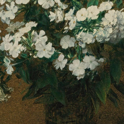 Flox Bianco In Un Vaso Henri Fantin-Latour hft66 quadro stampato su tela