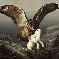 Ferdinand von Wright
