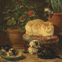 Henriëtte Ronner-Knip